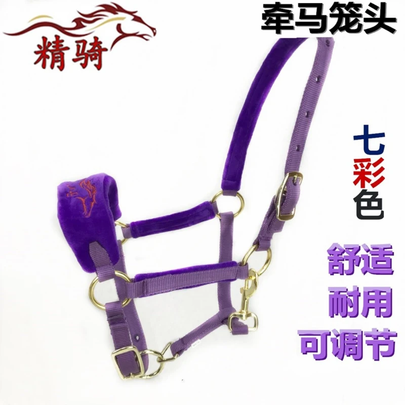 Horse Bridle Color Lead Horse Training Bridle Size Pony Faucet Bit Fine Equestrian Traction Rope Supplies