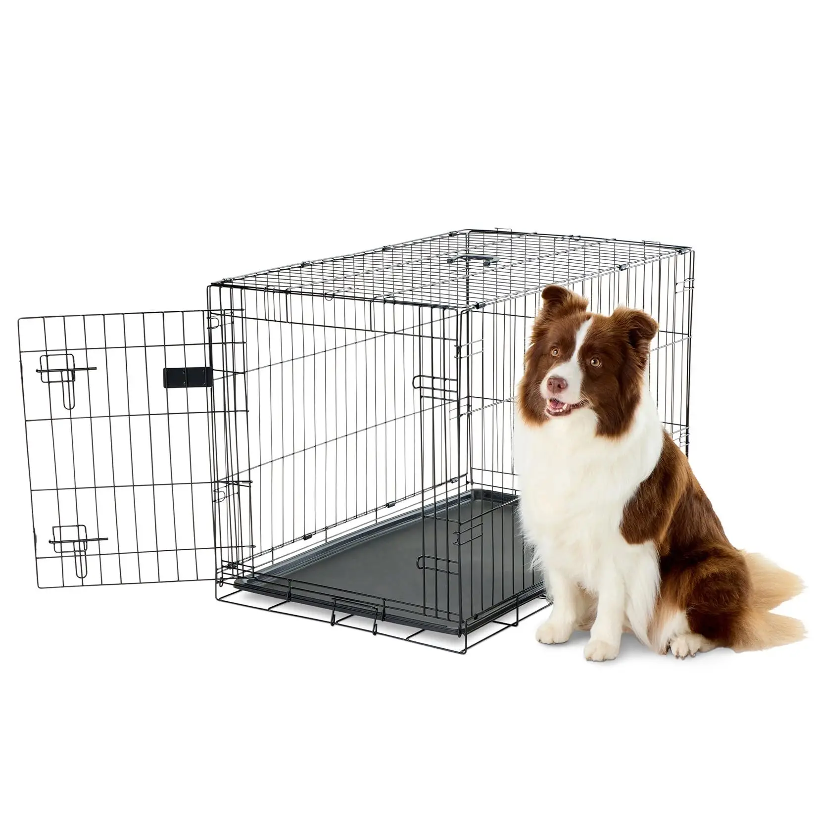 Pet Products Single Door Metal Dog Crate, Intermediate 36