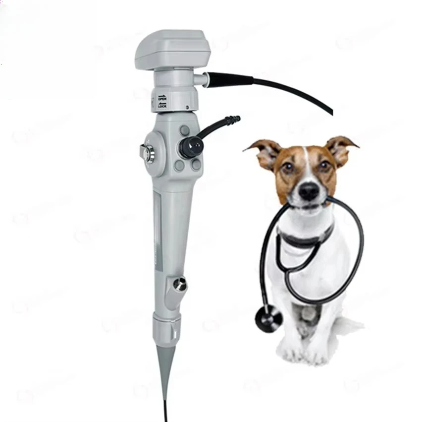 Ultra-thin portable high definition integrated veterinary video endoscope for cats, dogs, horses, cattle animals