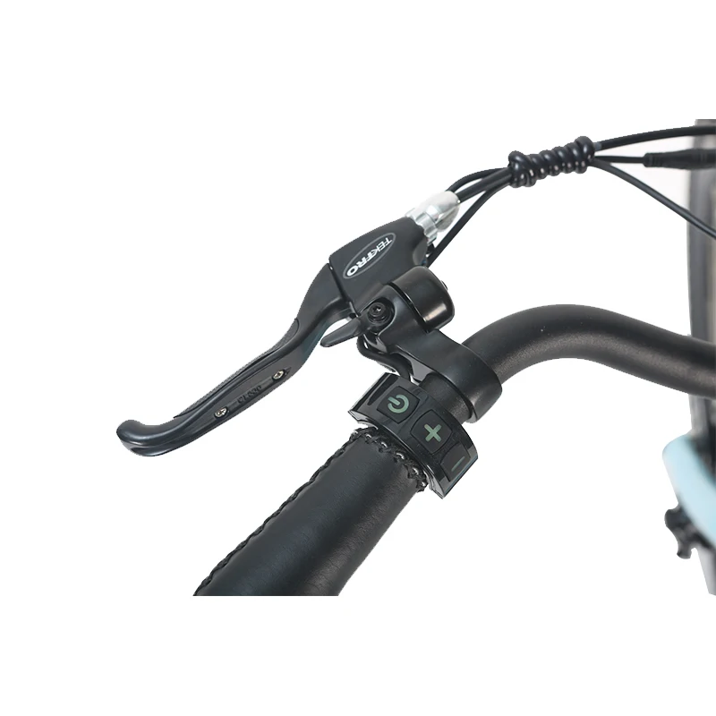 

High Efficiency Electric Bike Front and Rear Hydraulic Disc Brakes
