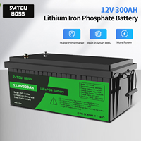 DATOUBOSS Lithium Battry 12V100A200A300A LiFePO4 battery rechargeable Solar Generator With BMS Solar Storage System Deep Cycle