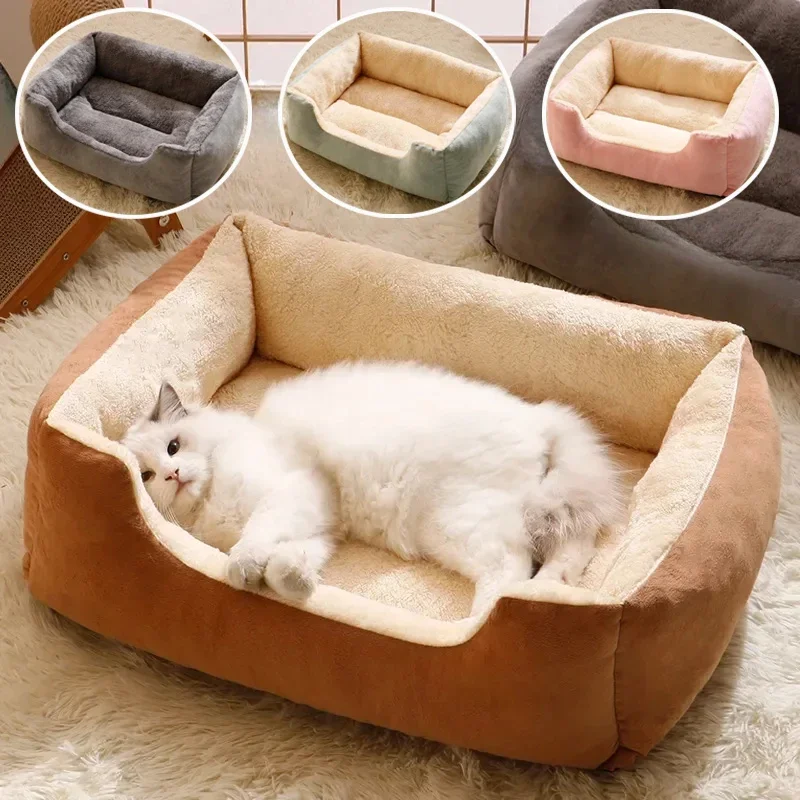 Bed for Cats Pet Products Cushions Kitten Goods Accessories Dog All Houses Supplies Things Accessory Habitats Basket House Beds