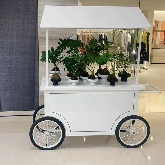 

Мобильная рекламная тележка-прилавок для ночного рынка: креативный дизайн, индивидуальная настройка, для продажи закусок