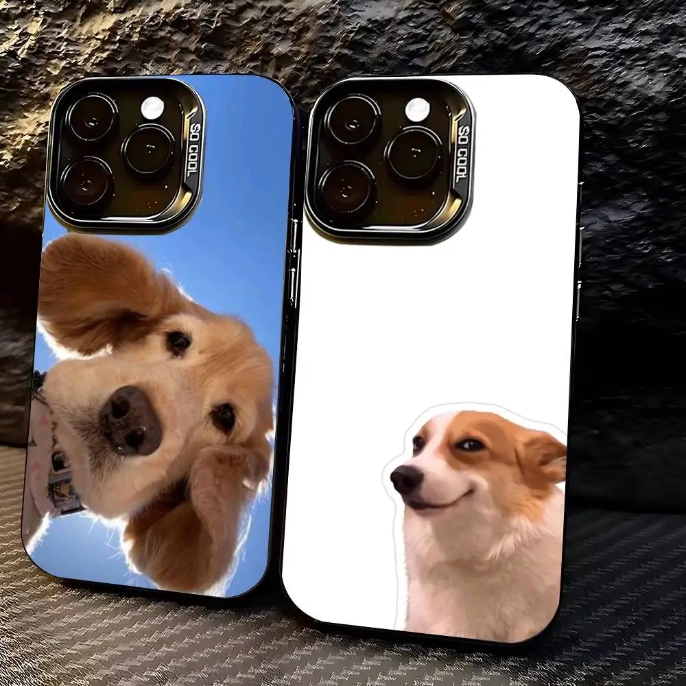 

Viral Dog Phone Case For iPhone 17,16,15,14,13,12,11,Pro,X,XS,Max,Plus Soft Black Cover