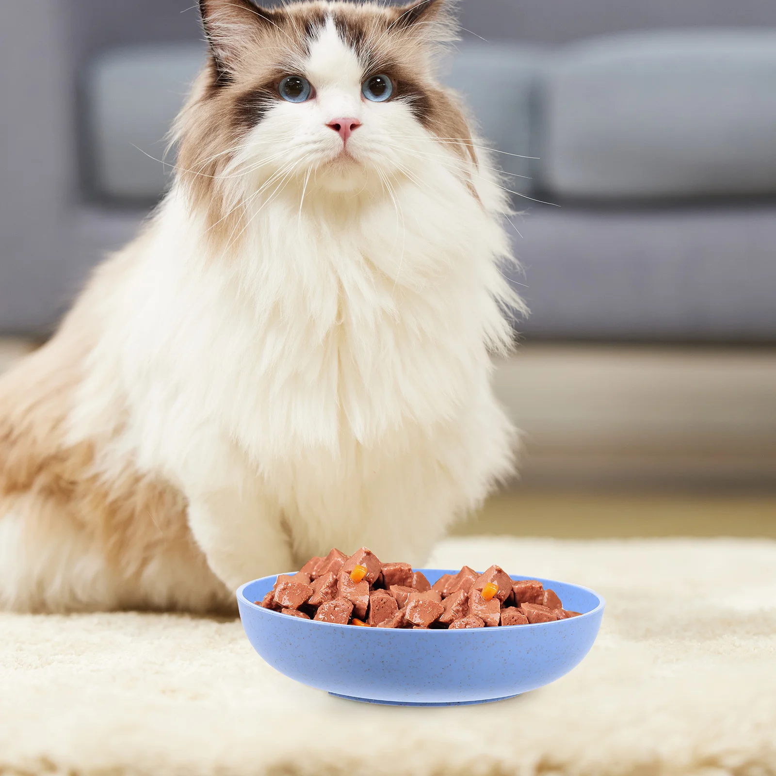 

6pcs Cat Bowl Set Cute Pet Feeding Dishes PP Plastic Food Bowls Replacement for Cats Fatigue Resistant Eating Plates