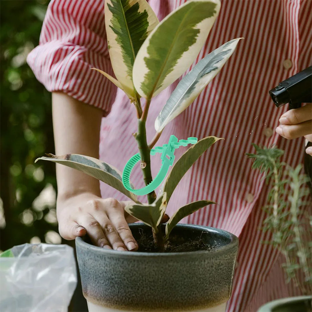 12Pcs Green Garden … - image