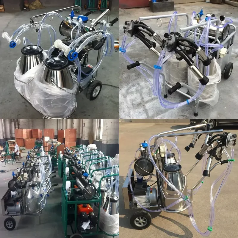 for Dairy Farm Processing Line Machine High Efficiency Milk Machine Milking Equipment