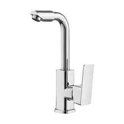 Rotatable Basin Faucet Brass Hot and Cold Mix Taps Silver Kitchen Faucet With Filter Mouthwash Function Deck Mounted