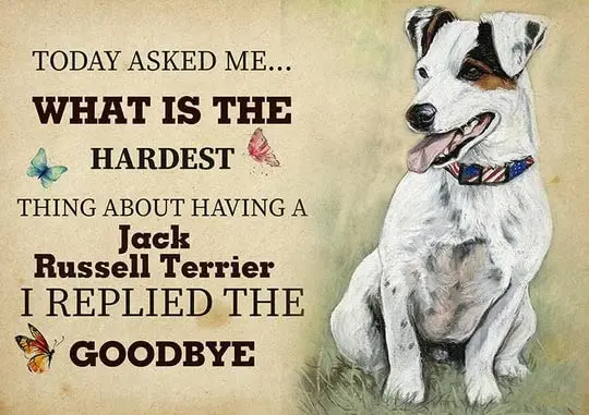 Retro Metal Poster Jack Russell Terrier I Replied The Goodbye Metal Tin Signs Vintage Plaque Wall Decor Gift For Home Kitchen Of