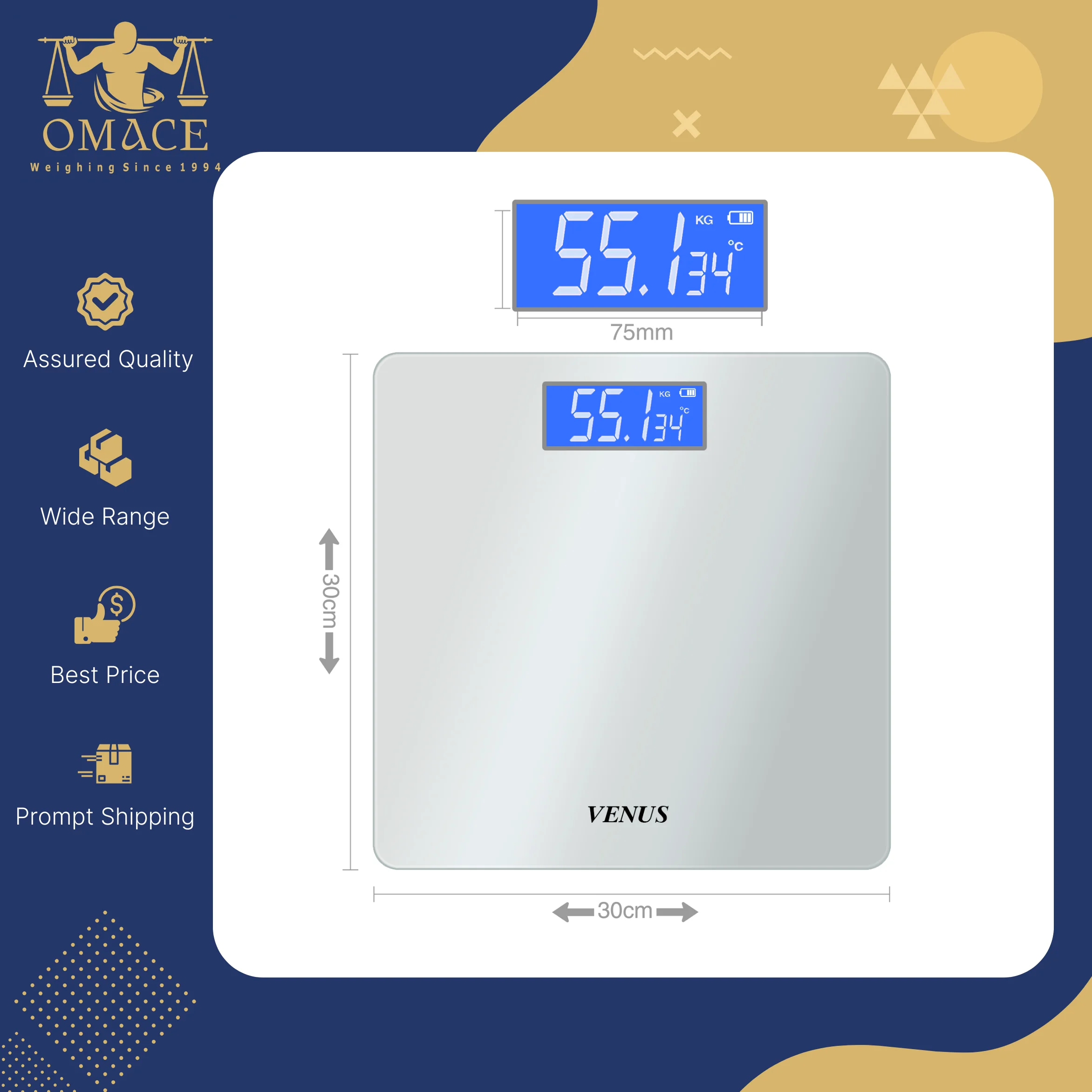 High Precision Best in Quality Testing and Analysis Instruments Low Price Grey and Silver Color Digital Personal Weighing Scale