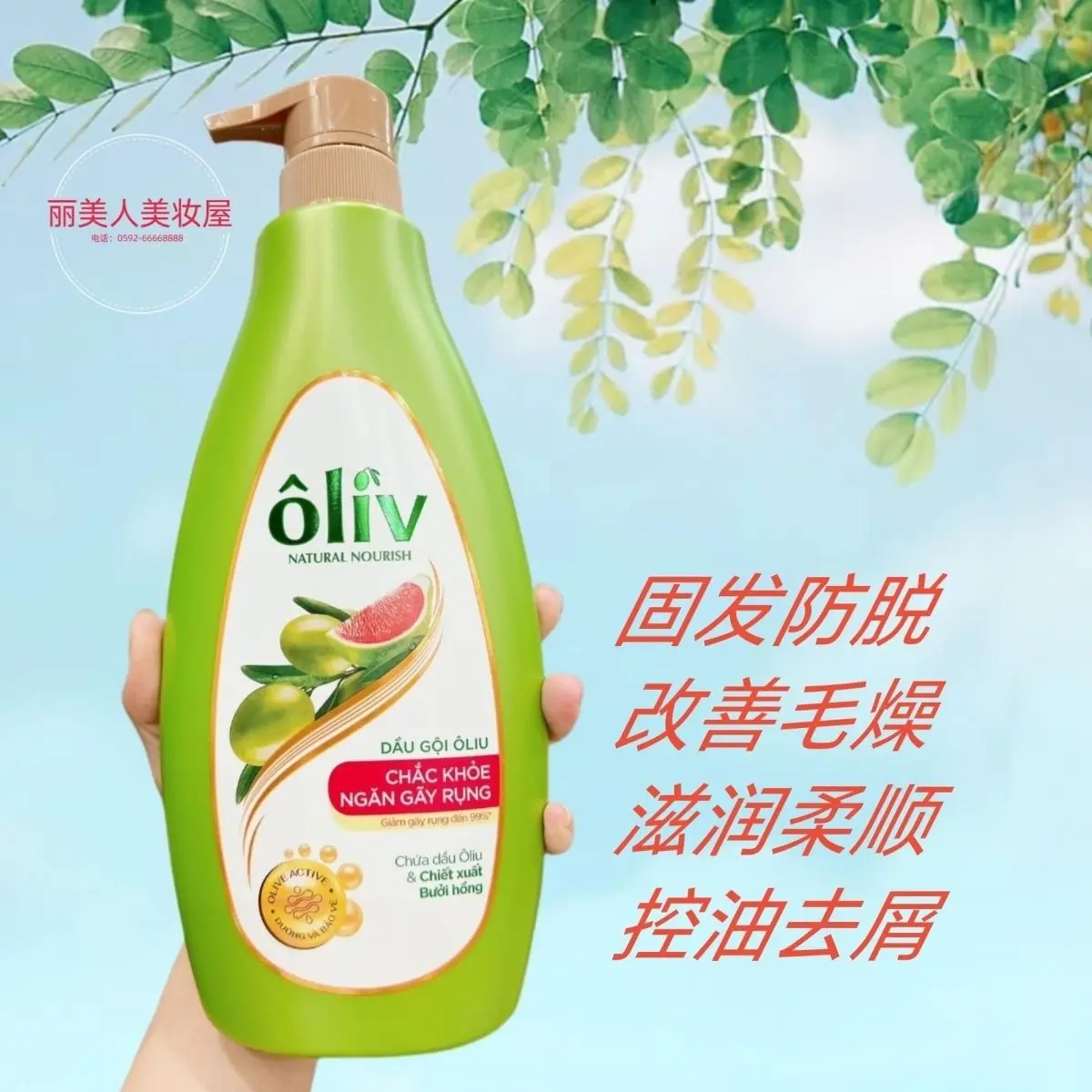

Viet Olive Oil Shampoo – Reduces Hair Fall & Excess Grease, Soothes Dandruff & Frizz, Smooth Nourishing Liquid