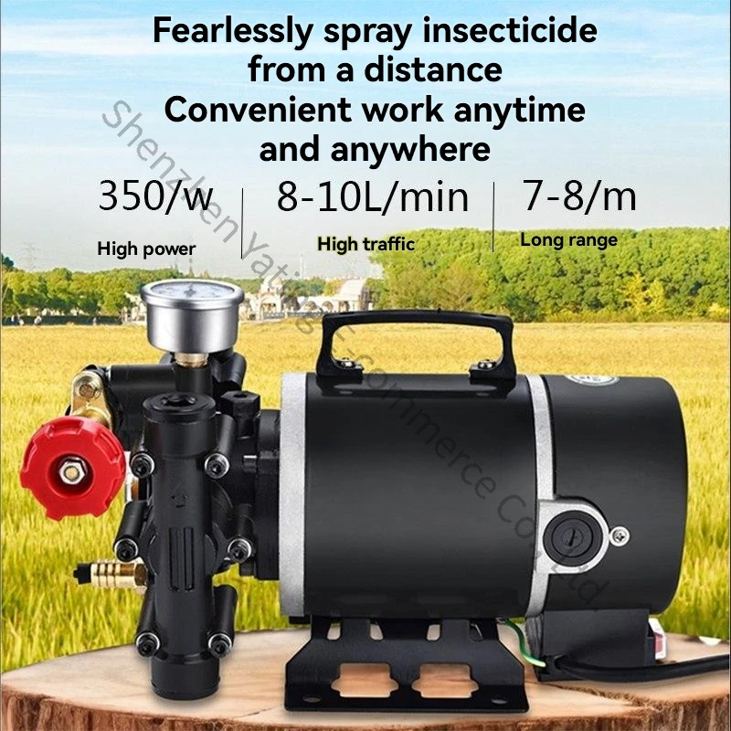 High Pressure Double Cylinder Piston Pump Electric Sprayer Butter Free Power Small Household Efficient and Durable Dispenser