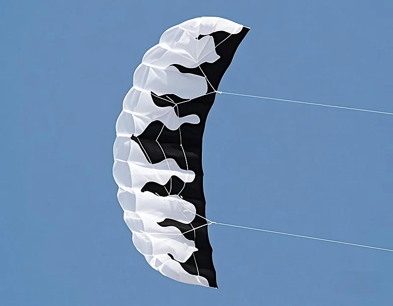 Gratis Verzending Vlam Dual Line Stunt Power Vlieger Vliegende Zachte Vlieger Drachen Aufblasbar Vlieger Gigantische Spellen Buiten Vliegers Groot Formaat Plezier