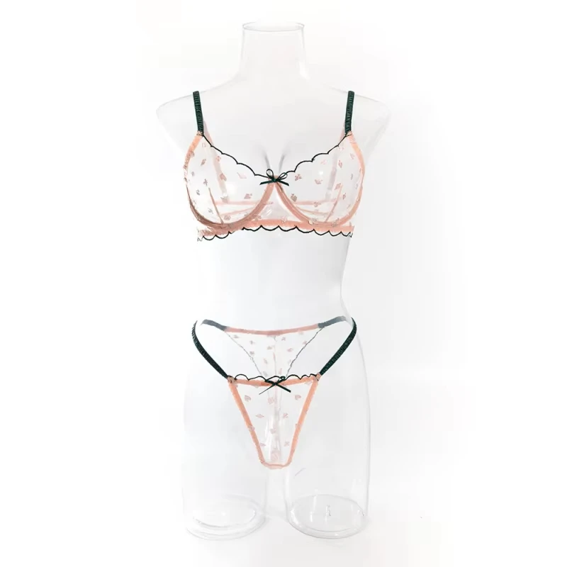 Transparent embroidered bikini lingerie set in a pure and desirable style with fresh, see-through floral patterns