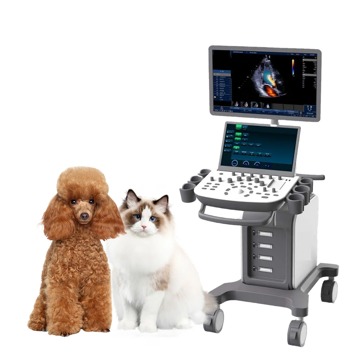 Veterinary Color   Doppler Diagnostic Device 3d 4d Veterinary   Scanner Machine