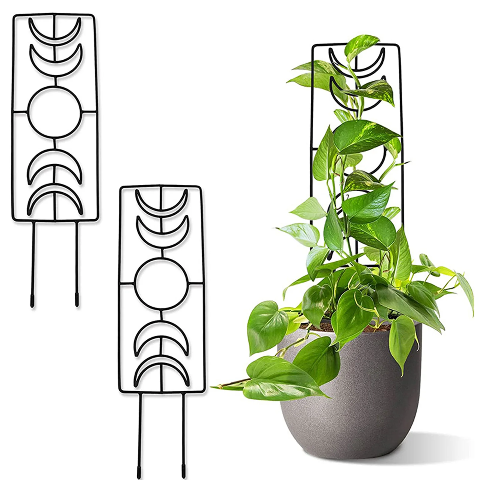 

Plant Climbing Support Frame Moon Phase Trellis Reinforced Vertical Metal Wire Trellis Pot Trellis For Climbing Plants Support