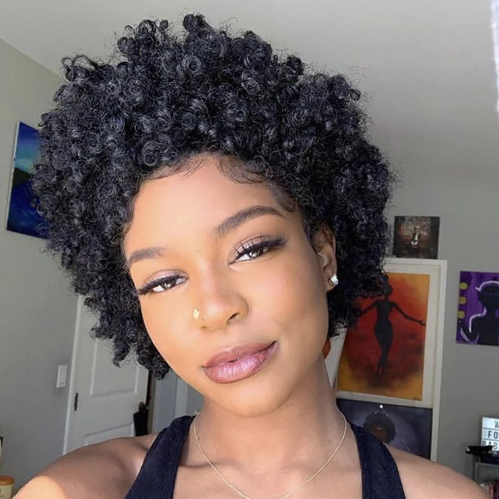Women's Short Curly Pixie Lace Front Wig