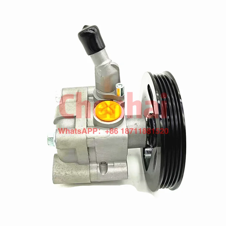 Fornissan Sunny N16 Power Steering Pump 49110-5M700/49110-BA00A/49110-AV700