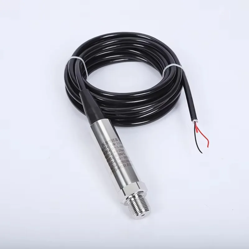 Submersible Stainless Steel Pressure Transmitter IP68 Waterproof Cable Outlet Type Underwater Thread Side Mounting Liquid Level