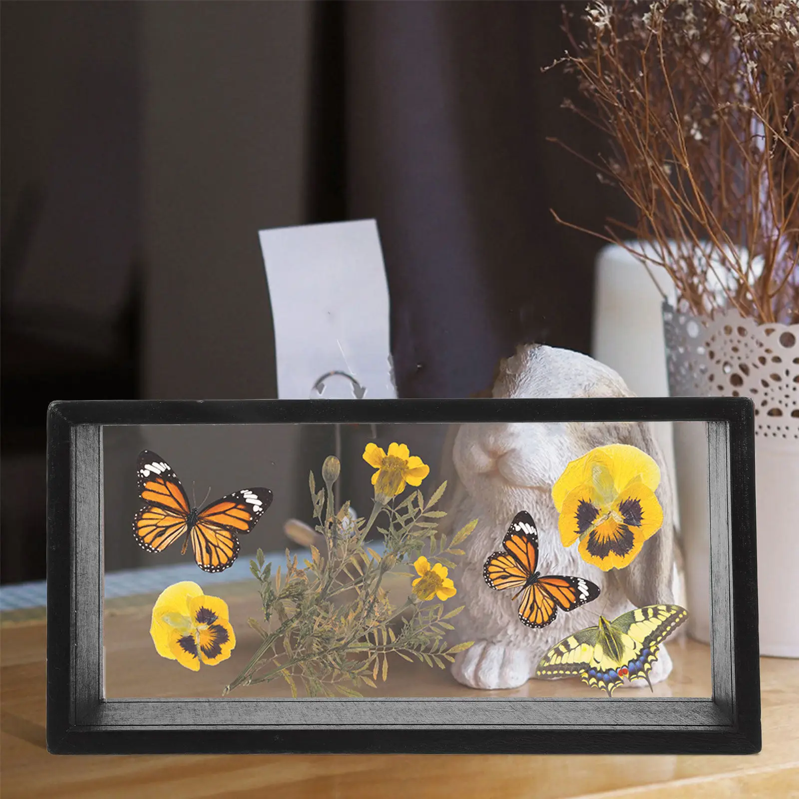Butterfly Acrylic Floating Display Case, Specimen Box