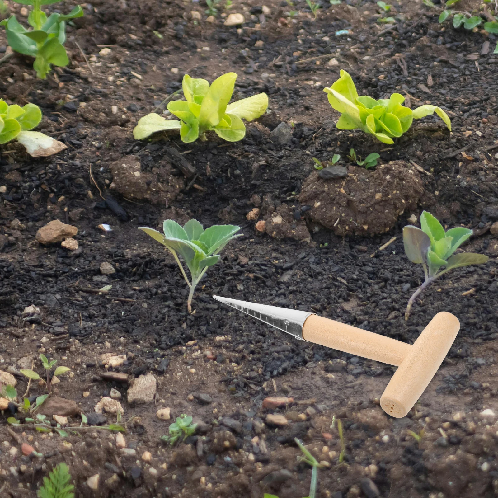 Garden Dibber Tool For Planting Seeds Vegetables Ergonomic Handle Soil Puncher Lightweight Hand Tool For Potted Plants Garden