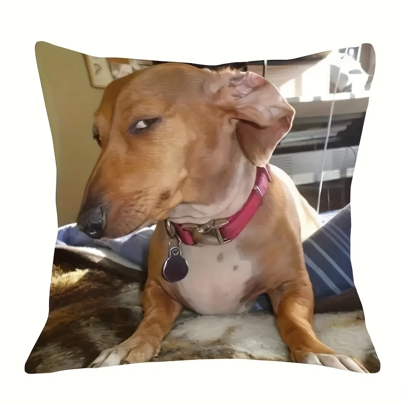 Side-Eye Dog Meme Pillowcase - Polyester Zippered Machine Washable Home Room Decor (No Insert)