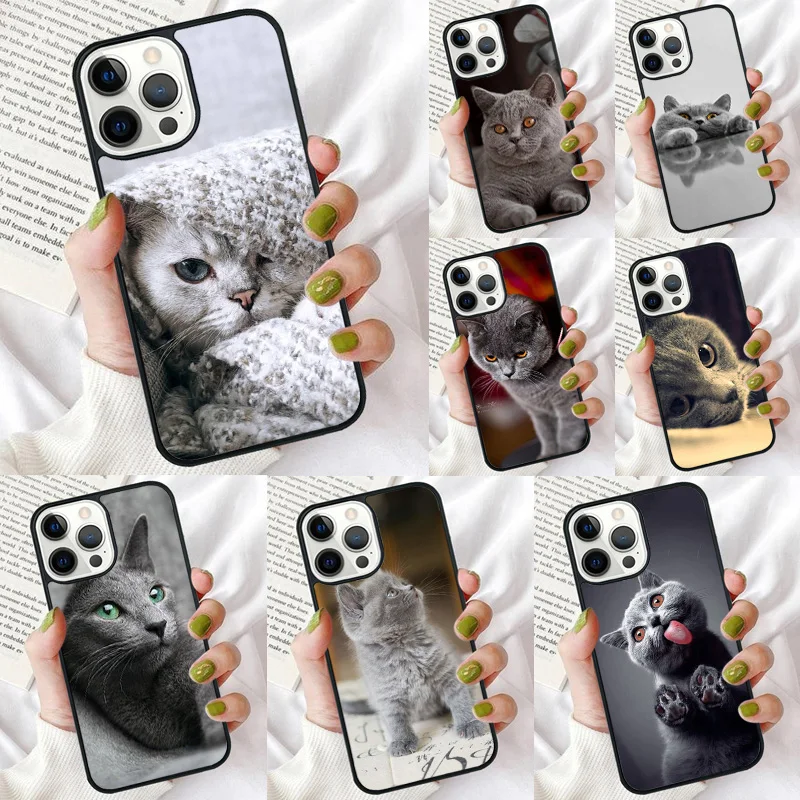 

British Shorthair Cat Phone Case for iPhone 17 Air 16 PRO MAX 15 14 PLUS 11 12 13 Back Cover Fundas Shell