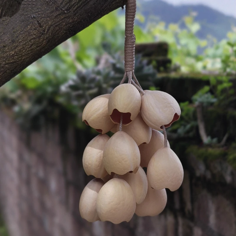 campanas-de-viento-de-concha-de-nuez-diapason-de-meditacion-campanas-de-viento-naturales-campanas-de-relajacion-espiritual-instrumentos-musicales-curativos-de-sonido-regalo