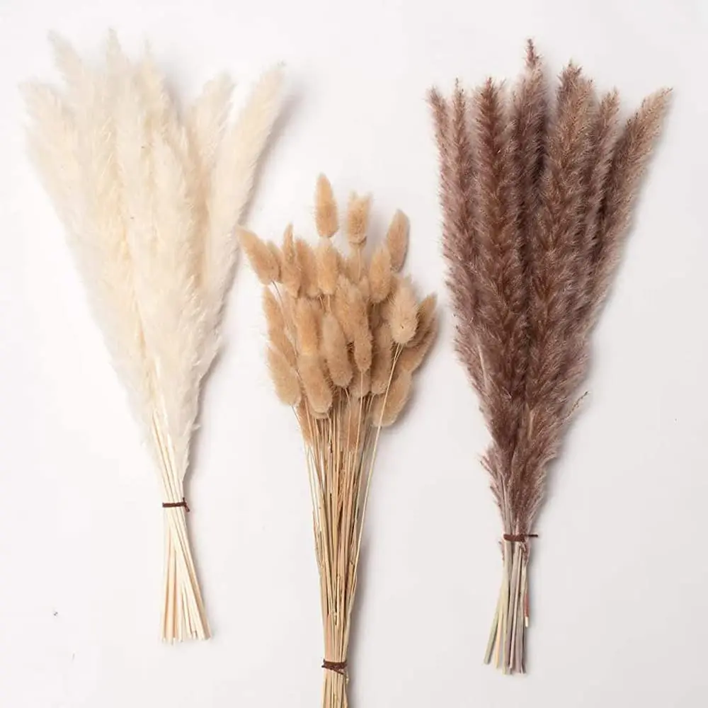 

80PCS Pampas Decoration Wedding Fluffy Wedding Arrangement Decoration Natural Phragmites Dried Flowers Bouquet Boho Home Decor