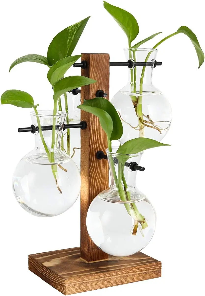 Kit de Terrarios de Escritorio, Soporte Hidropónico para Plantas Aéreas con 4 Bombillas, Florero de Vidrio y Base de Madera Sólida, para Hogar u Oficina