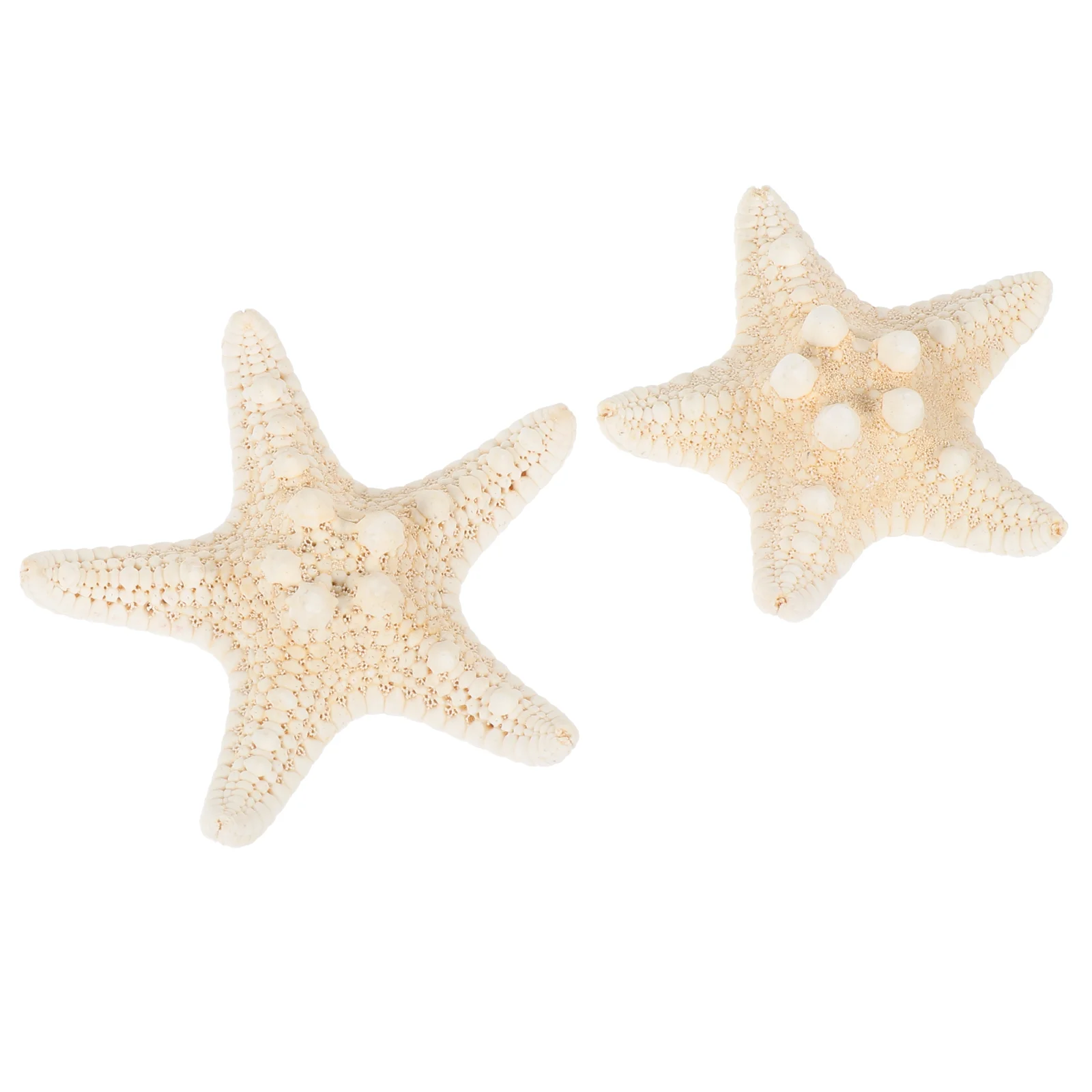 2 Pcs DIY Accessories Fish Tank Decoration Natural Material Gift Beach Party Landscaping Sea Star Adorn Starfish Decorative