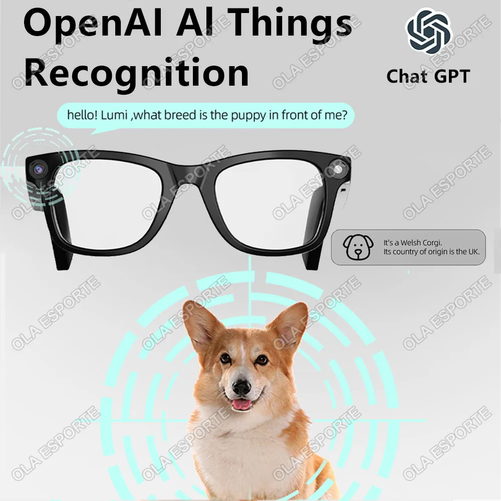 HD 2000W Camera AI Smart Glasses ChatGPT Wifi Bluetooth Connection Music 400Mah Battery Voice Assistant Smart Glasses Men Women