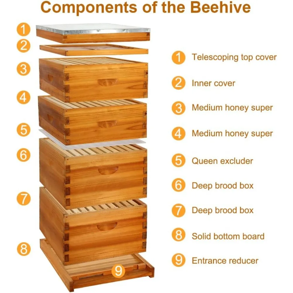 10 Frame Bee Hive Dipped in 100% Beeswax, Langstroth Complete Beehives Starter Kit Includes 2 Deep Brood Box and 2 Medium Super