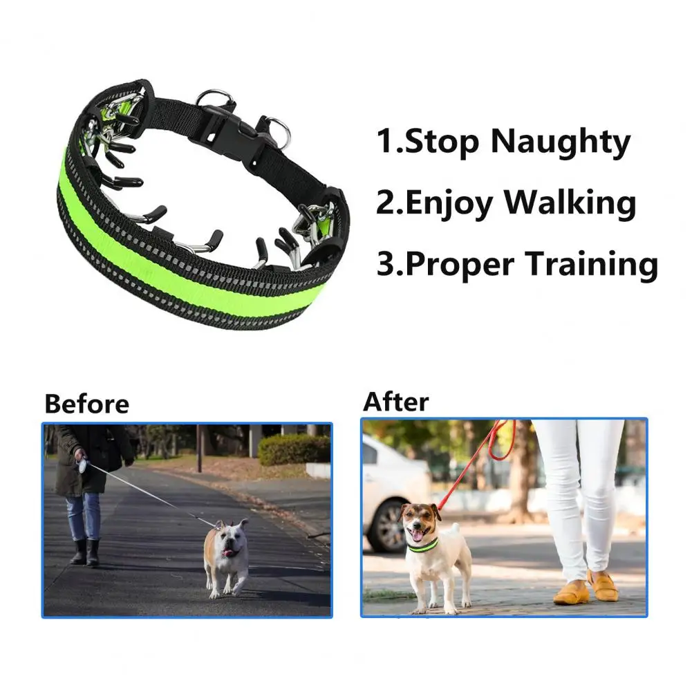 Effective Dog Training Collar Sturdy Metal D-ring Pet Collar Effective Safe Dog Training Collars for Small to Dogs