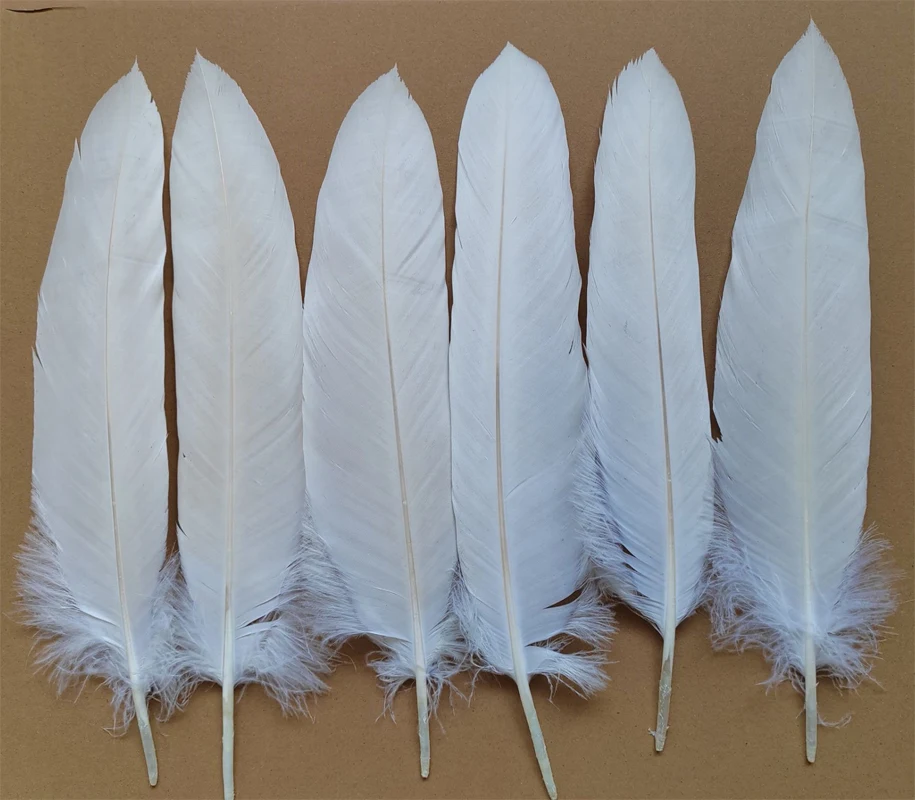 

Оптовая продажа, 10 шт., красивые белые перья орла, оперение, редкие 35-40 см, 40-45 см, праздничное украшение одежды