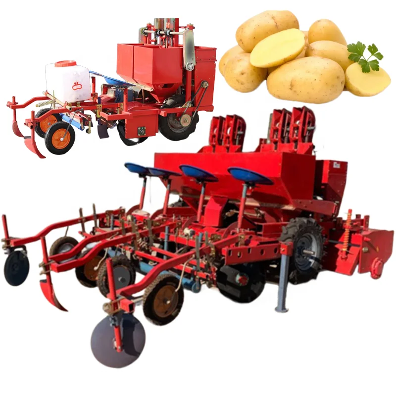 Sweet Potato Cultivator Planter Seeder Machine 4 Rows Potato Seeder Machine Potato Seeds for Planting