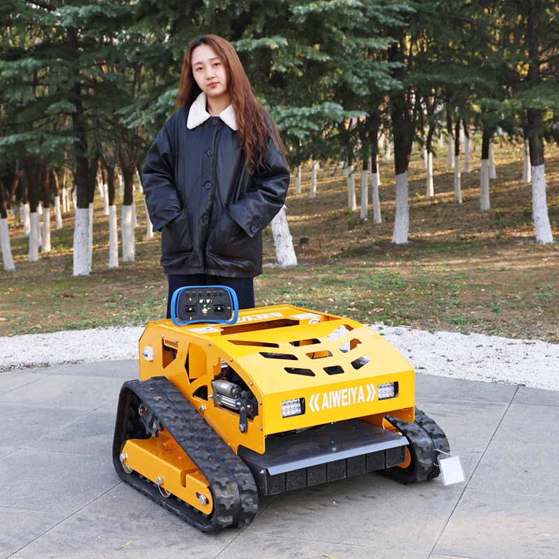 Customized Lawn Mow… - image