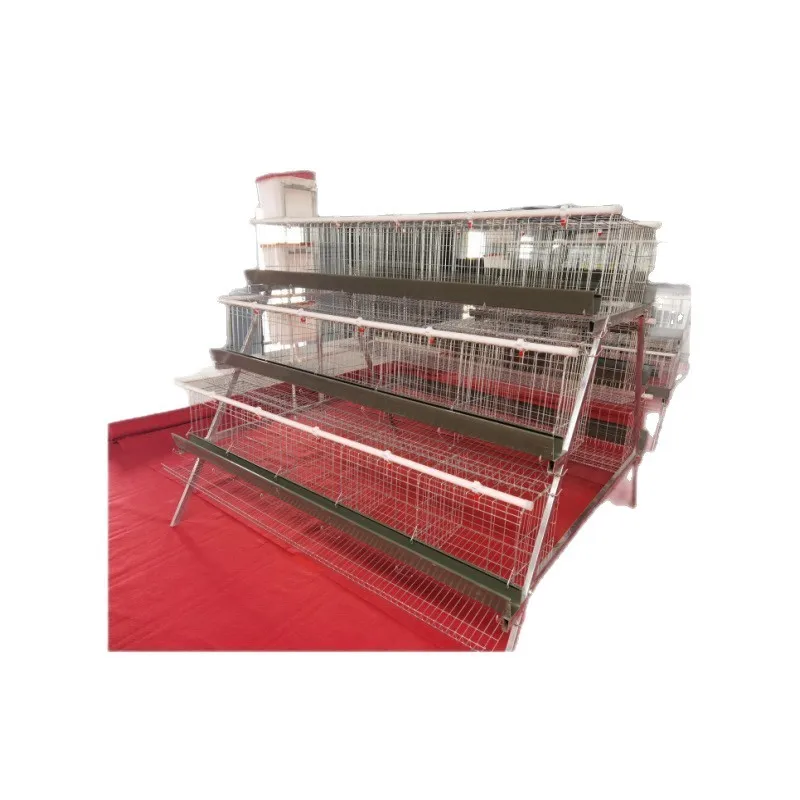 Galvanized Chicken Cage, 4-Door Layer Cage, 3-Tier Automatic Farming System, Step-Type Egg Collection, Poultry Equipment