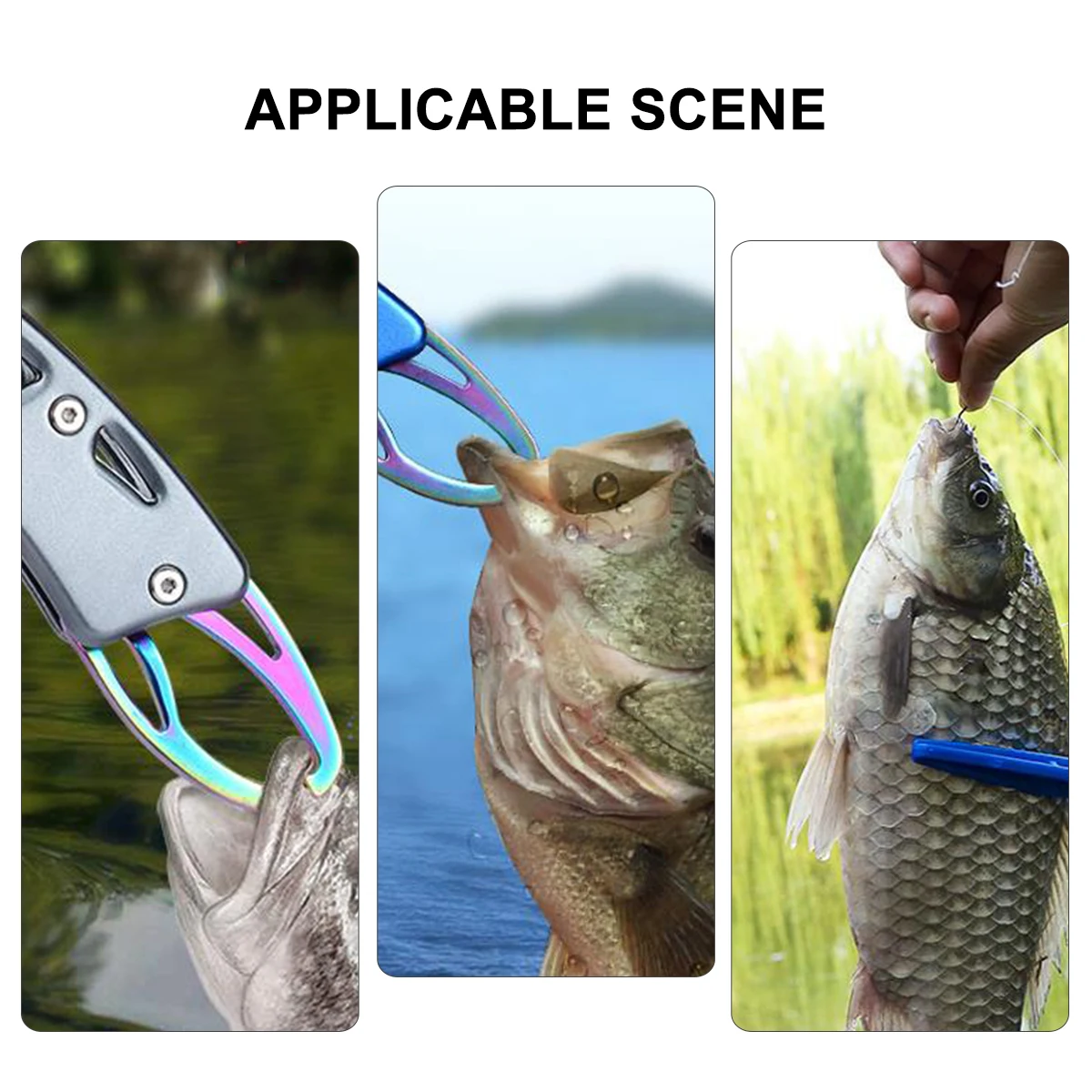 

Fish Gripper Strong Thick Material Non-Slip Grip Fishing Controller Clamp for Safe Fish Handling Fishing Supplies Blue