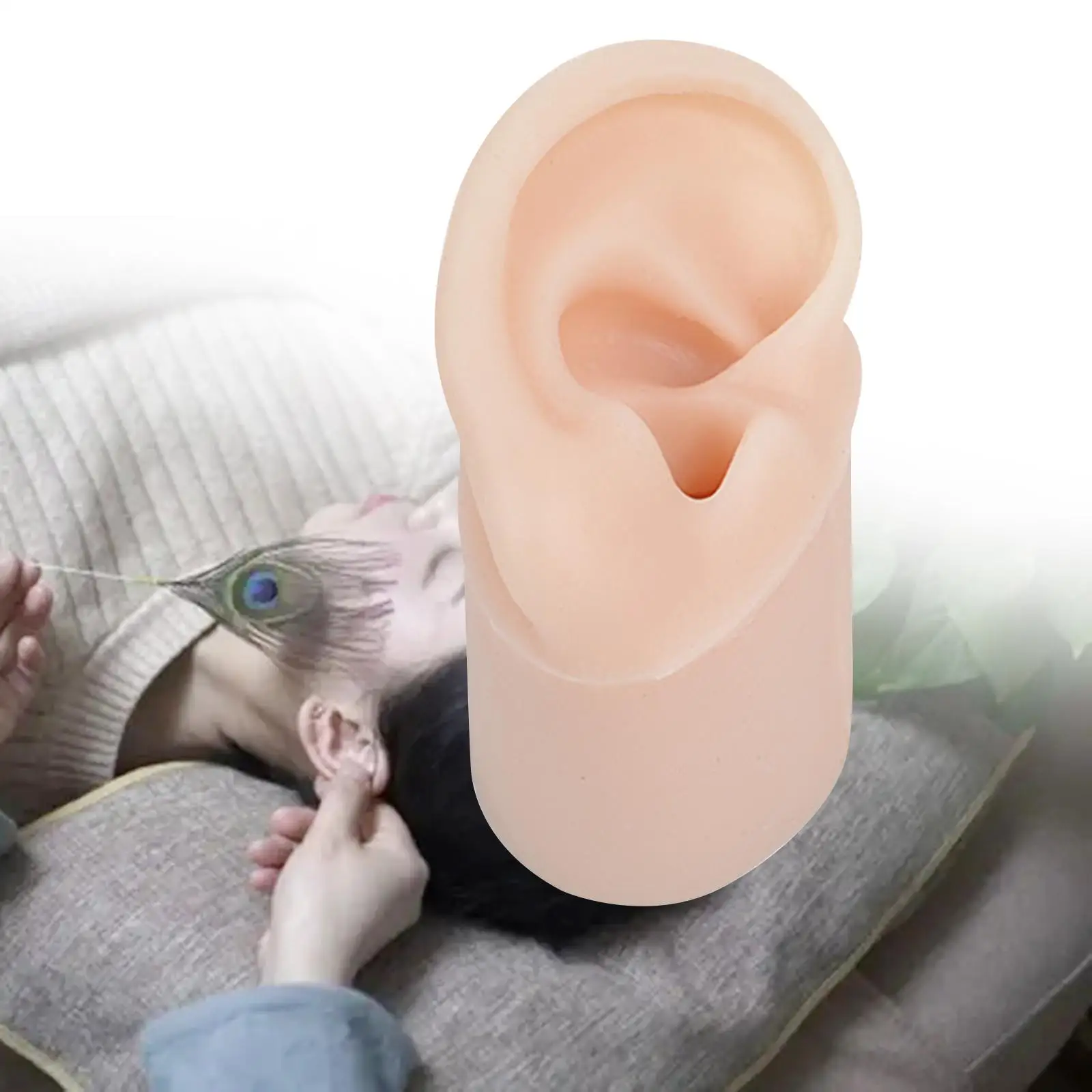 Realistic Soft Silicone Ear Model deep Canal Delicate Texture with Base Training Teaching Instruction Display Props Fake Ear