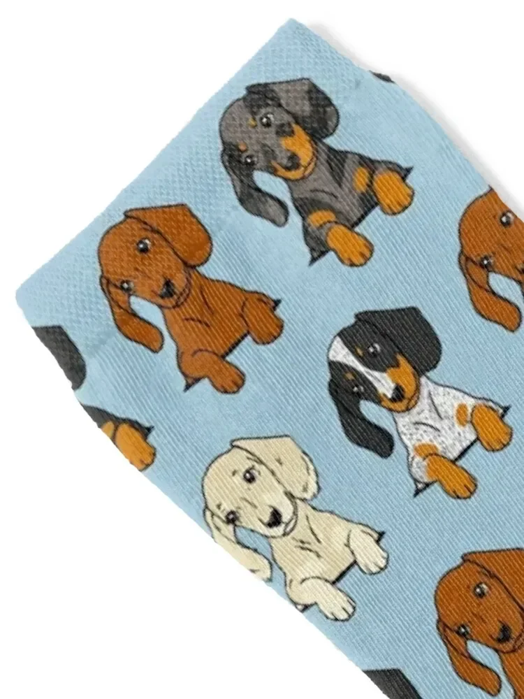 All Breeds Dachshund Blue Sticker Pack Socks happy custom heated Antiskid soccer Male Socks Women's