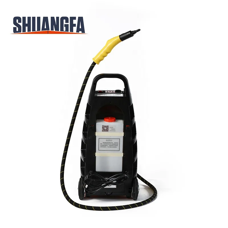 Low Price Commerical High Pressure 5Bar Portable Steam Car Washer for Car Interior Cleaning