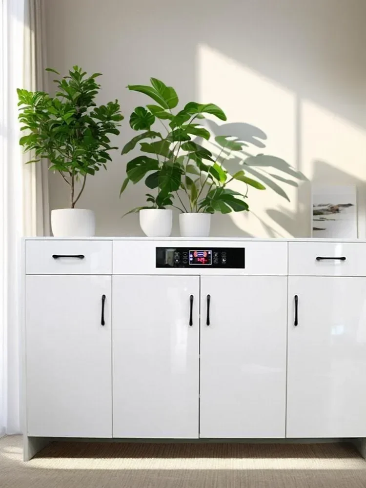 Smart shoe cabinet deodorization drying  solid wood household