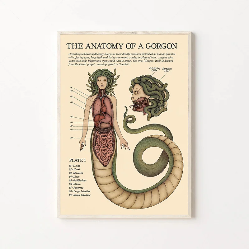 Vintage The Anatomy Of Mermaid Harpy Gorgon Poster Print Canvas Painting Mysterious Creature Wall Art Room Home Decor Cuadros