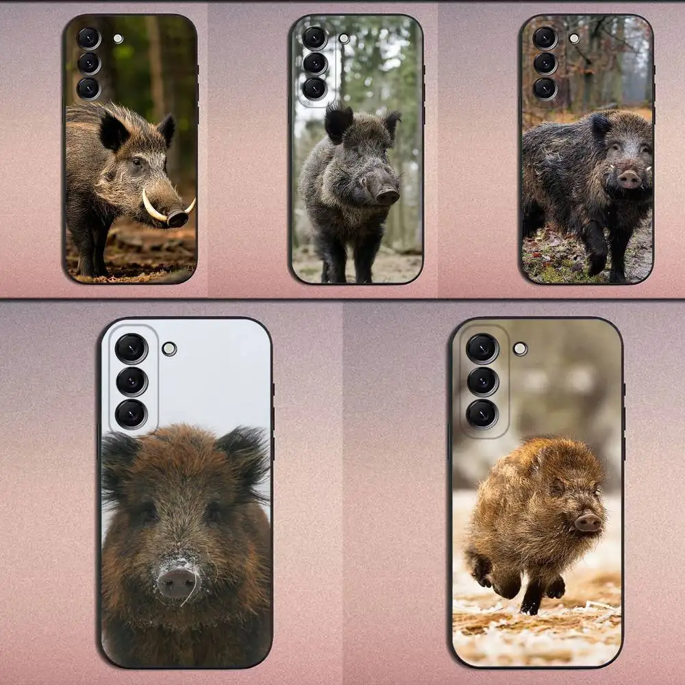 

Wild Boar Animal Pig Phone Case For Samsung Galaxy A20,A21s,A22,A31,A32,A52,A53,A72,73,A80 Soft Black Cover