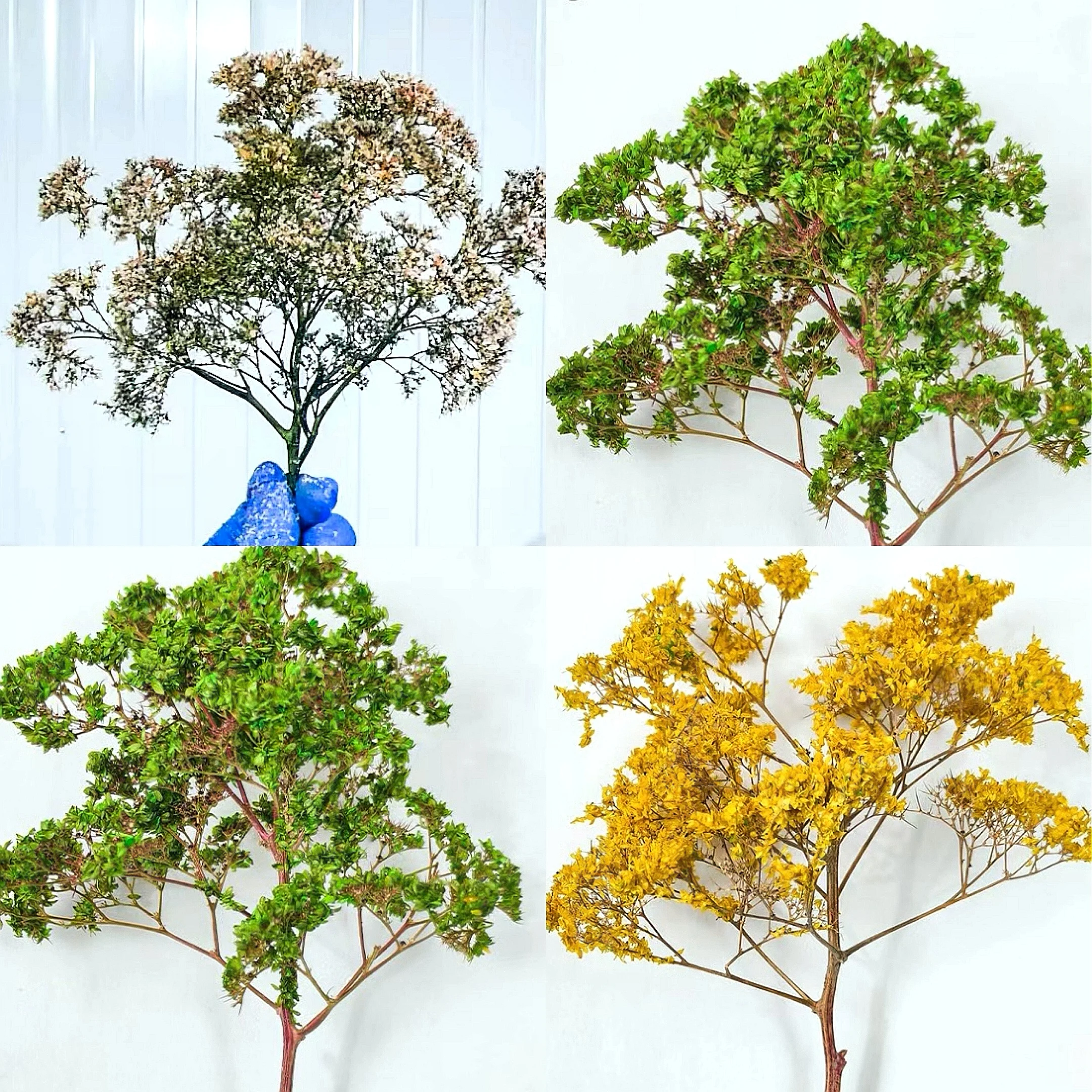 Maßstabsgetreuer Miniatur-Modellbaum aus Schaumstoff, Meeresbäume für Architekturmodelle, Dioramen, HO N Modelleisenbahn-Landschaftsgestaltung