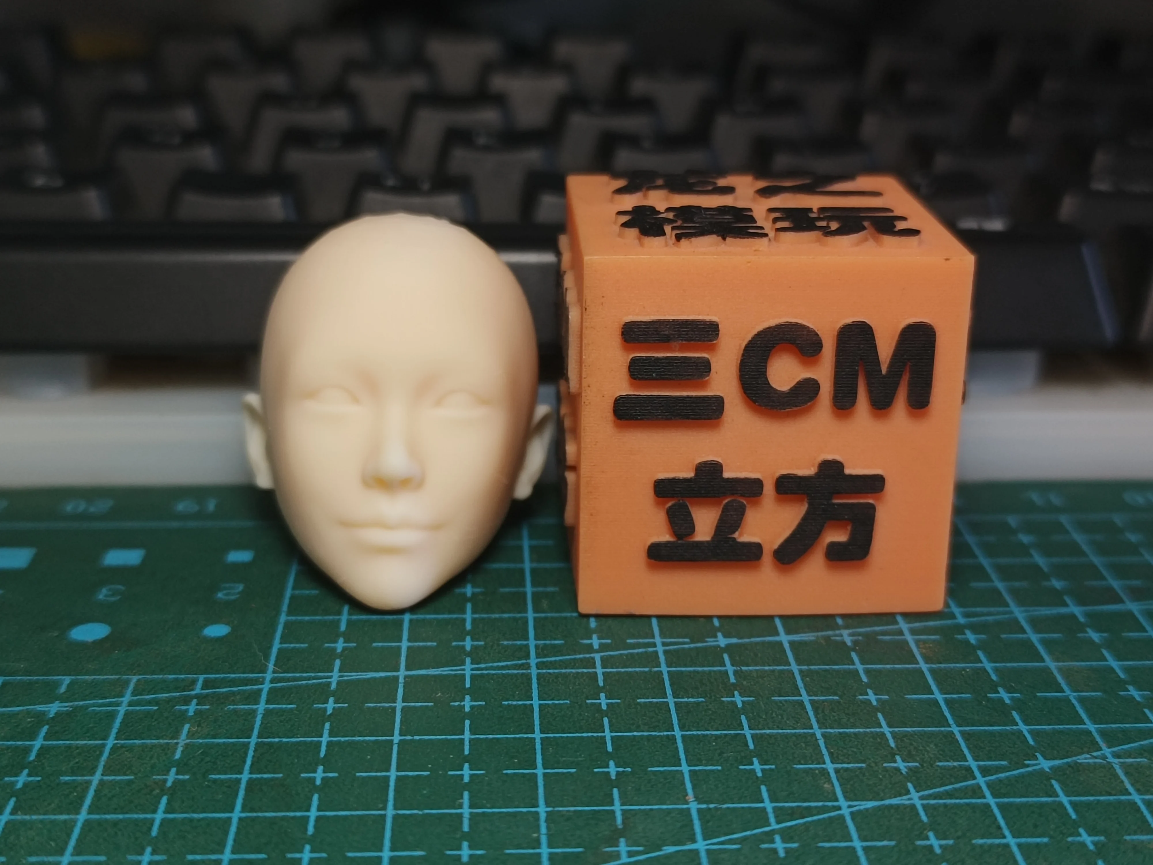 

1/6 Scale Eimi Fukada Female ふかだえいみ Japanese Head Carving 3D Model For 12" Soldier Unpainted Action Figure BodyToys