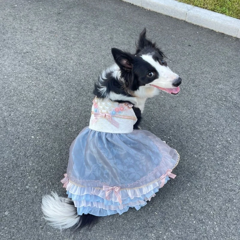 Ropa para Perros Grandes, Vestido para Mascotas Grandes, Welsh Corgi, Shiba Inu, Border Collie, Samoyed, Husky, Labrador, Golden Retriever
