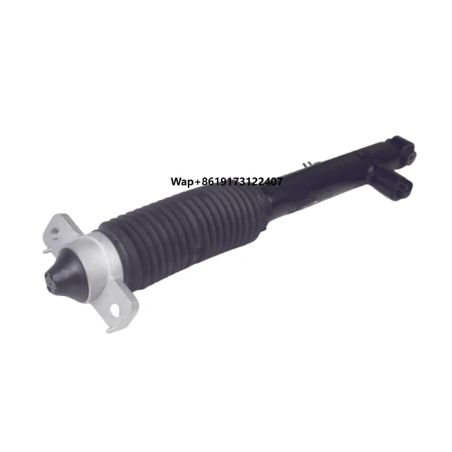 

001 air Suspension Rear 6600138377 6600170975 air Spring Shock