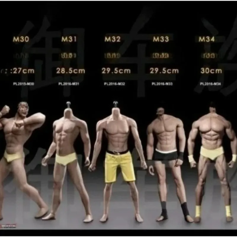 

1/6 Male Soldie M30 M31 M32 M33 M34 M35 Steel Bone Muscle Bodybuilding Arnold Model for12inch Action Ph TBL Body Gift Collection